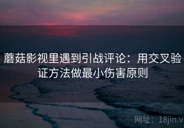 蘑菇影视里遇到引战评论：用交叉验证方法做最小伤害原则