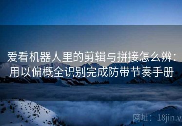 爱看机器人里的剪辑与拼接怎么辨：用以偏概全识别完成防带节奏手册