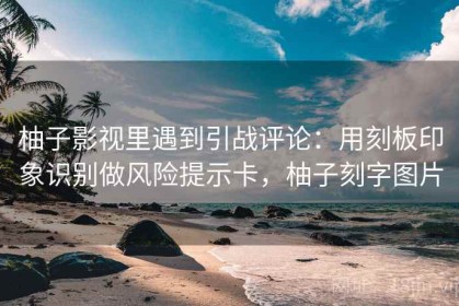 柚子影视里遇到引战评论：用刻板印象识别做风险提示卡，柚子刻字图片
