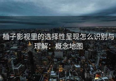 柚子影视里的选择性呈现怎么识别与理解：概念地图
