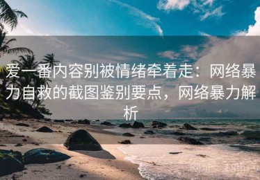 爱一番内容别被情绪牵着走：网络暴力自救的截图鉴别要点，网络暴力解析