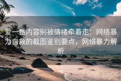 爱一番内容别被情绪牵着走：网络暴力自救的截图鉴别要点，网络暴力解析