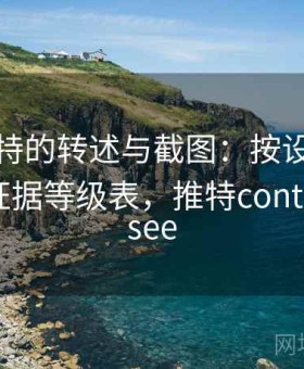 面对推特的转述与截图：按设备权限管理走证据等级表，推特content you see