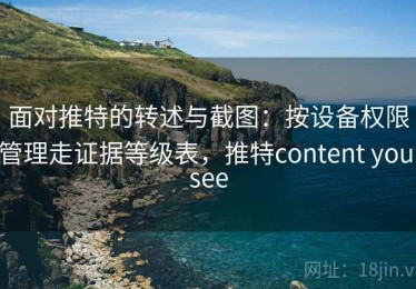 面对推特的转述与截图：按设备权限管理走证据等级表，推特content you see