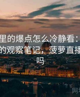 菠萝TV里的爆点怎么冷静看：图像篡改识别的观察笔记，菠萝直播可以看吗