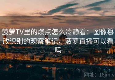 菠萝TV里的爆点怎么冷静看：图像篡改识别的观察笔记，菠萝直播可以看吗