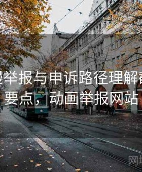 17c 动漫举报与申诉路径理解截图鉴别要点，动画举报网站