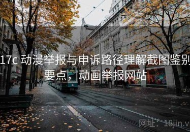 17c 动漫举报与申诉路径理解截图鉴别要点，动画举报网站
