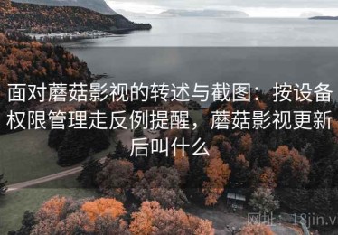 面对蘑菇影视的转述与截图：按设备权限管理走反例提醒，蘑菇影视更新后叫什么