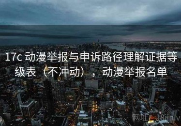 17c 动漫举报与申诉路径理解证据等级表（不冲动），动漫举报名单