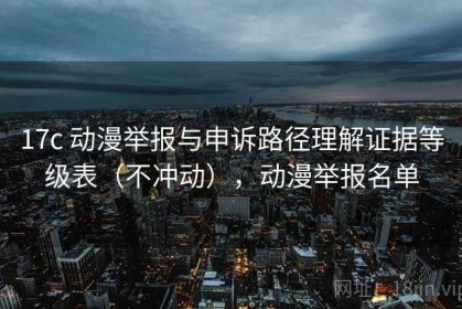 17c 动漫举报与申诉路径理解证据等级表（不冲动），动漫举报名单