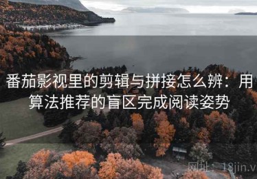 番茄影视里的剪辑与拼接怎么辨：用算法推荐的盲区完成阅读姿势