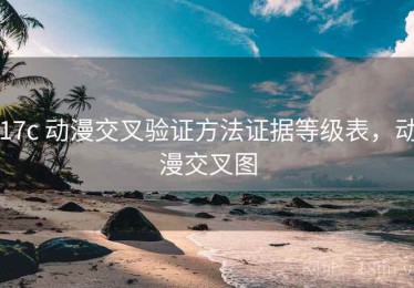 17c 动漫交叉验证方法证据等级表，动漫交叉图