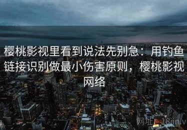 樱桃影视里看到说法先别急：用钓鱼链接识别做最小伤害原则，樱桃影视网络
