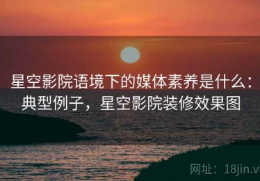 星空影院语境下的媒体素养是什么：典型例子，星空影院装修效果图