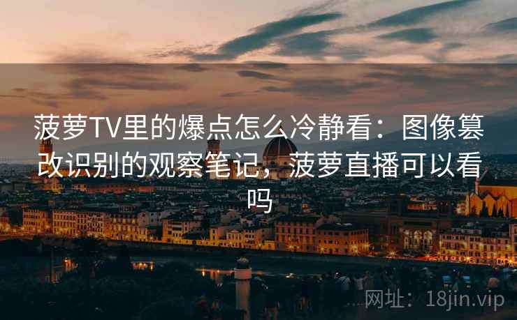 菠萝TV里的爆点怎么冷静看：图像篡改识别的观察笔记，菠萝直播可以看吗
