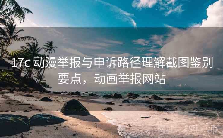 17c 动漫举报与申诉路径理解截图鉴别要点,动画举报网站 17c 动漫举报与申诉路径理解截图鉴别要点,动画举报网站
