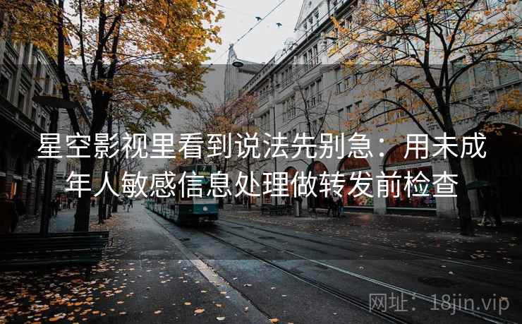 星空影视里看到说法先别急：用未成年人敏感信息处理做转发前检查