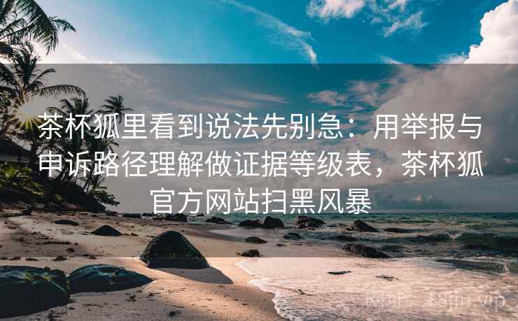 茶杯狐里看到说法先别急：用举报与申诉路径理解做证据等级表，茶杯狐官方网站扫黑风暴